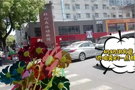 去南京红山森林动物园游玩的美好片段视频封面