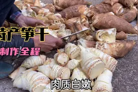 浙江农家特产笋干做法，100斤好笋做出6斤笋干，鲜嫩厚传统手工艺