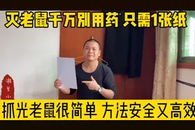 灭老鼠千万别用药 只需1张纸 抓光老鼠很简单 方法安全又高效视频封面