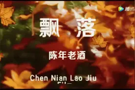 俄罗斯经典名曲《飘落》金色号角出品