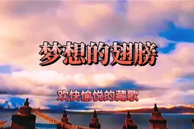 梦想的翅膀，一首不同风格的神奇的藏歌！代青拉毛/文藏罗桑演唱视频封面
