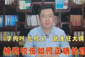 学狗叫，乱咬人就是狂犬病吗？被狗咬伤如何正确处理，医生告诉你视频封面