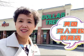 旅美老阿姨去买最便宜的蔬菜种子，实拍美国低端消费的一元店视频封面