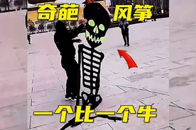 奇葩风筝，一个比一个牛视频封面