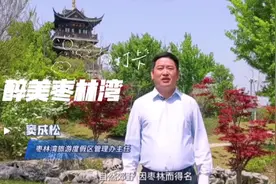 扬州仪征枣林湾窦副书记喊你来打卡 醉美枣林湾视频封面