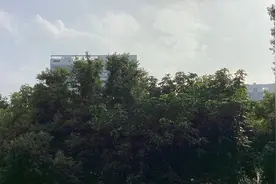失眠者睡前听听，没听完就睡着了一一性命圭旨性命双修之邪正说视频封面