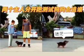 懵圈了！两个主人打赌，分开跑测试狗狗会追谁，狗狗急得原地转圈