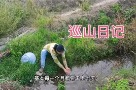 生态护林员，六百块钱一个月，不够别人吃一顿饭钱。视频封面