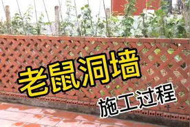 红砖网红花园围墙，省工又省料，还能抗台风。视频封面