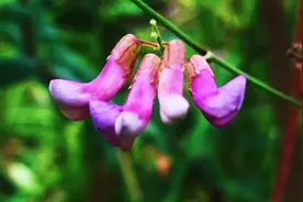 当你心情不好的时候，听一听这段话就好了！