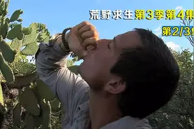 外形像极了小龙虾的淡水虾，生吃非常美味视频封面