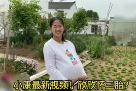 小康官宣欣欣怀三胎？结果引发爆笑！当初的欣欣可是相当霸气的！视频封面