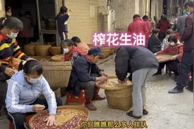 广东农村赶集日榨花生油，从早上守到晚上，榨两桶油容易吗？视频封面