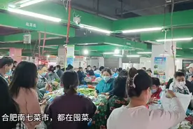 合肥包河区南七菜市，人们都在囤菜。视频封面