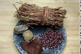 春夏季节湿气重，广东人煲鸡骨草猪横脷汤。清热解毒，清肝祛湿视频封面