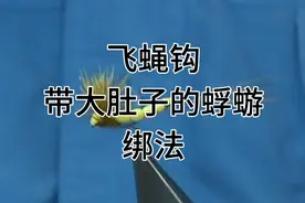 飞蝇钩绑法教程，绑一个带着大肚子的蜉蝣