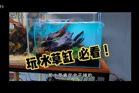 玩水草缸必看，水草缸反面教材！水草融叶烂根发黄；及决绝方案！视频封面