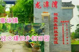 距三星堆5公里与广汉什邡德阳3地相邻的四川广汉高坪镇龙潭湾田园视频封面