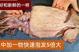 泡发干鱿鱼，只用清水就错了，20年大厨教我一招，快速泡发5倍大视频封面