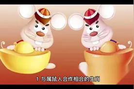 属鼠人合作的生肖#国学智慧视频封面
