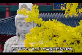 观世音菩萨三十三种化身视频封面