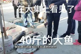 大庆市萨尔图区721大集，收费不高，卖货不错，大伙可以来。视频封面