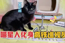 喵星人化身高铁巡视员！还有小伙伴一起配合，非常“敬业”…视频封面