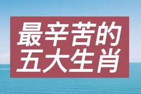最辛苦的五大生肖，你在其中吗？视频封面