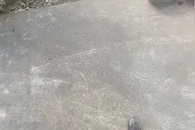 别人使歪点子，多种点庄稼想她累死，叫她不要干这么多还说我歹毒视频封面