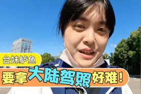 台湾女孩考4次科目一，终于拿到大陆驾照，第一台车应该买啥？视频封面