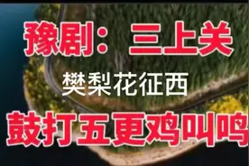 原创，豫东名旦董芙蓉经典唱段樊梨花征西，百听不厌