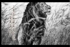 高情商沟通--如何说一句精彩别致的开场白视频封面