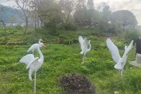 永春、德化半日行视频封面