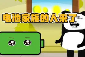 电池家族的人来了，终于把四大家族集齐了视频封面
