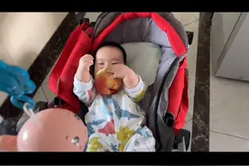我老板，又馋，又懒，不给吃最后表情包亮了视频封面