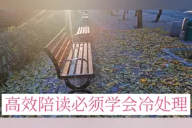 高效陪读必须学会冷处理，让孩子慢慢回归自主学习状态。视频封面