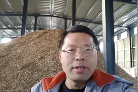 2023新农人— 菇鄉人  出口的香菇菌棒应该选择什么木屑呢？视频封面