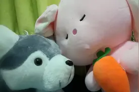 年度复盘展现量≥1万的今日头条视频封面