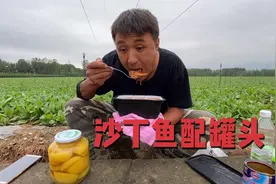 一盒自嗨锅和一罐沙丁鱼，再配上一瓶罐头，安抚一下我受伤的心灵视频封面