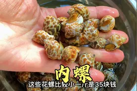 这是我见过最简单美味花螺做法，不加水不加酱油，出锅太香了视频封面