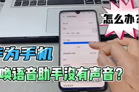 华为手机更新鸿蒙系统后，呼唤语音助手“小艺”没有声音如何解决视频封面