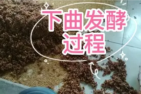 烤酒其实也很简单，就这么几步，看一遍自己就能烤出酒