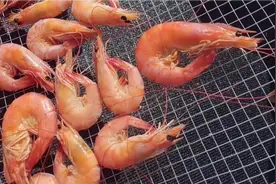 今天买的特大虾来晒，一斤12-14条，肉大够厚实一口下去超满足