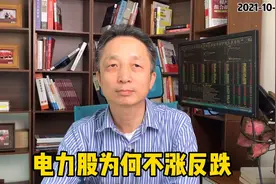 电力股为何不涨反跌？视频封面