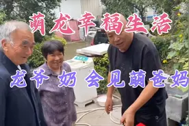 龙爷 龙奶去郑州替儿子致歉意，萌爸讲几句人生哲理，值得学习。视频封面