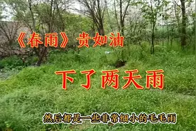 河南商丘下雨了、一下就是两天、一直没停，不知道下到啥时候？