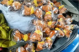 在废品站买到一车毛绒玩具，1元钱一个，价格是不是很便宜？视频封面