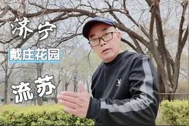 旅游济宁戴庄花园，姿态优美的流苏长出了嫩叶，四月份来看雪景吗视频封面