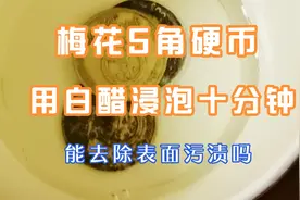 梅花5角硬币用白醋浸泡能去污吗？#硬币#＃收藏知识#视频封面