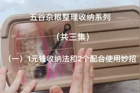 花一元钱收纳五谷杂粮，再搭配2个配合使用妙招，简单便宜又好用视频封面